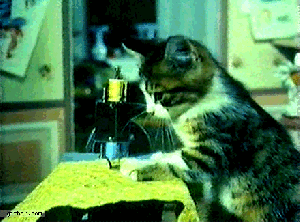 Kittykat Sewing